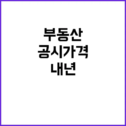 공시가격 동결 내년…