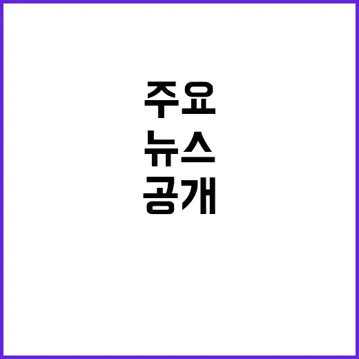 뉴스리뷰 11월 19일의 주요 사건들 공개!