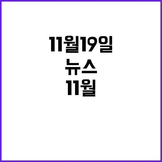 뉴스리뷰 11월 19일의 가장 핫한 이야기!