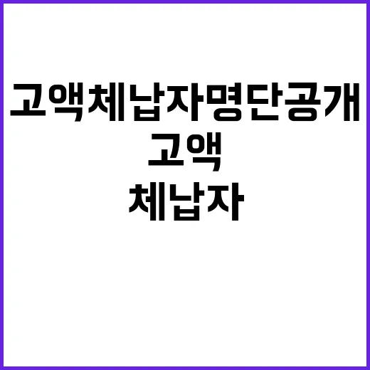 고액 체납자 명단 공개 총 233명 비난 예고!