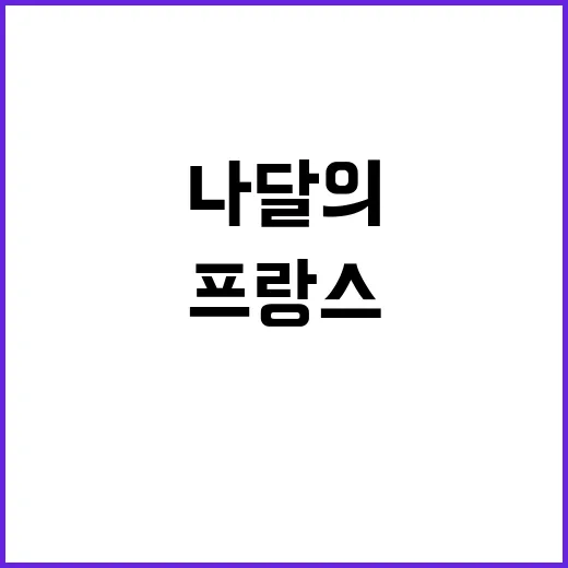 프랑스 나달의 역사…