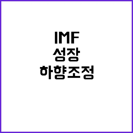 IMF 성장 예상 하향 조정 금리는 어떻게 될까?