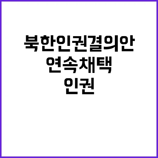 북한 인권 결의안 유엔 위원회 20년 연속 채택!