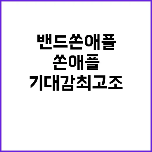 밴드 쏜애플 12월…