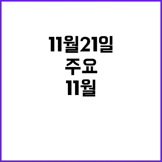 라이브투데이2부 11월 21일 주요 이슈들!