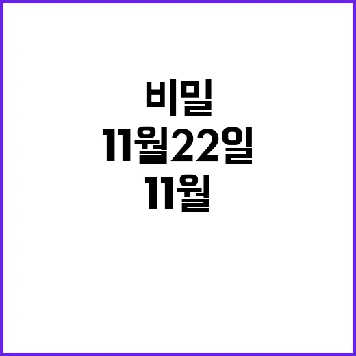 11월 22일 이 …