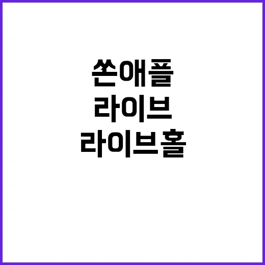 쏜애플 12월 라이브홀에서 잊지 못할 공연!