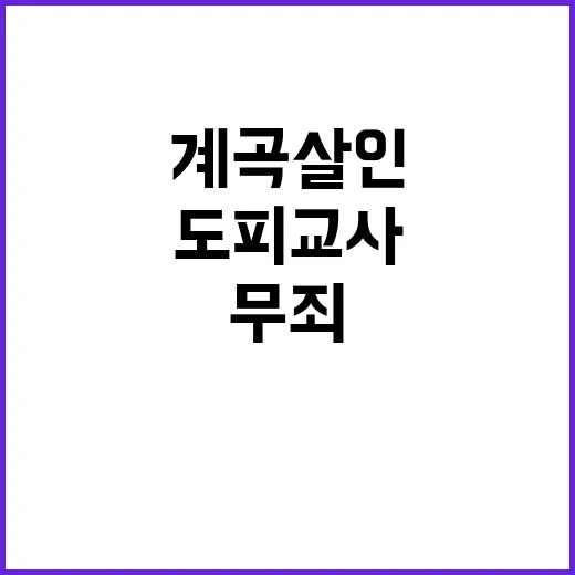 계곡살인 무죄 확정 범인 도피 교사 누구?