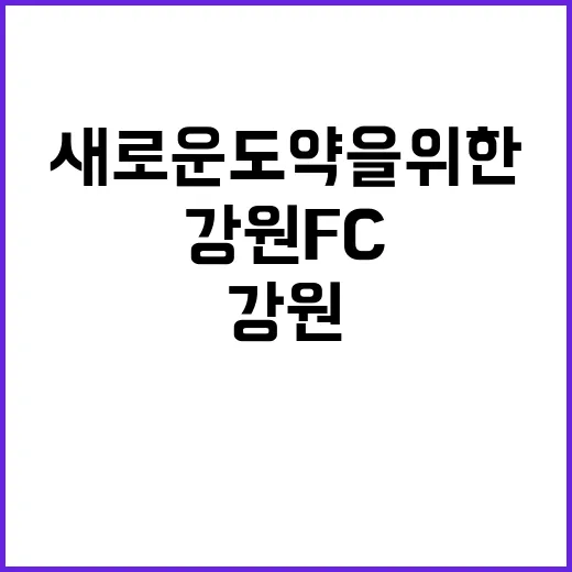 강원FC 새로운 도약을 위한 재계약 소식 전해!