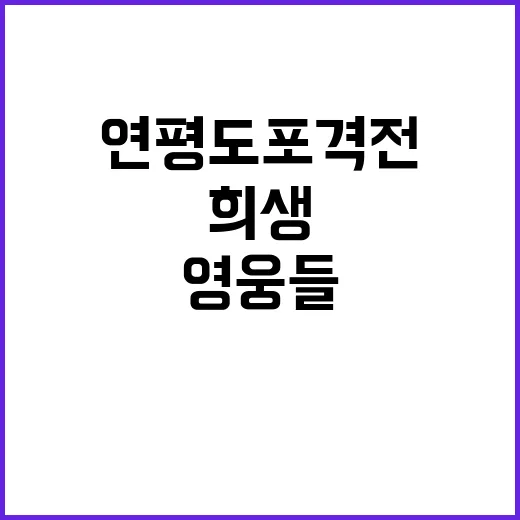 연평도 포격전 영웅들의 희생 잊지 않음!