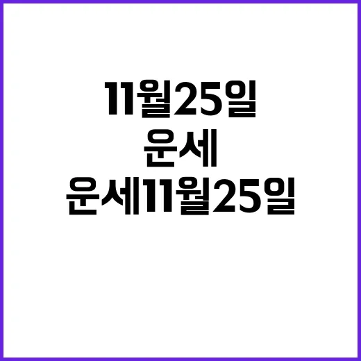 운세 11월 25일…