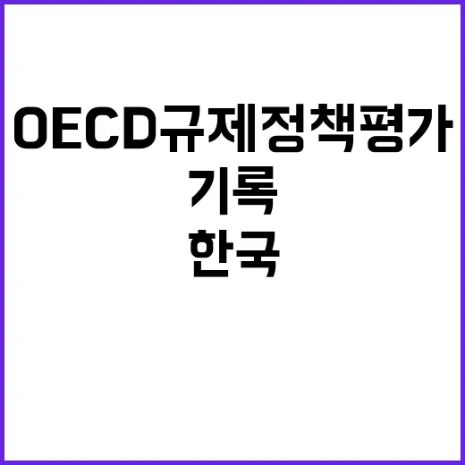 한국 OECD 규제…