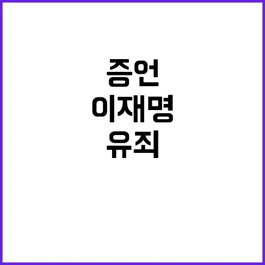 위증자 유죄 판결 이재명 증언 요청 내용 공개!