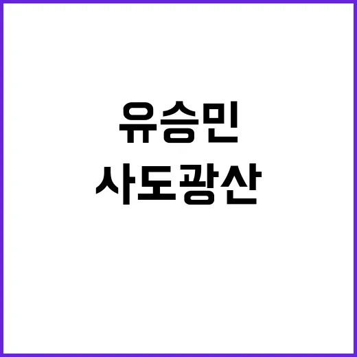 사도광산 유승민 尹…