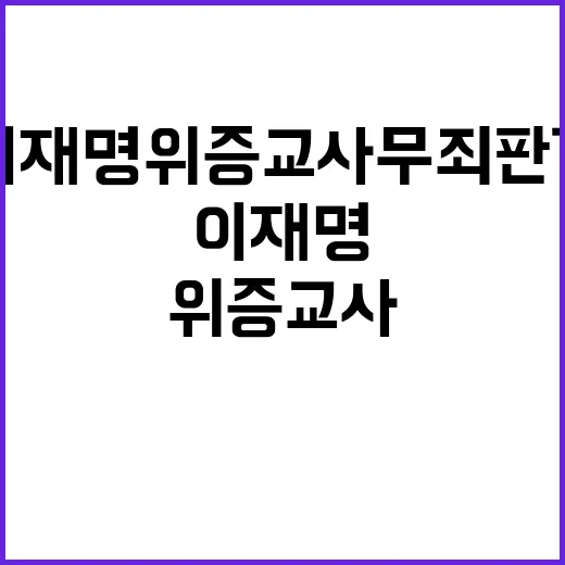 이재명 위증교사 무…