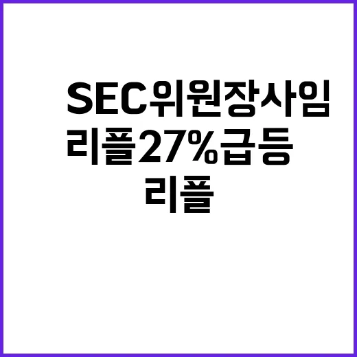 리플 27% 급등 美 SEC 위원장 사임 이유는?