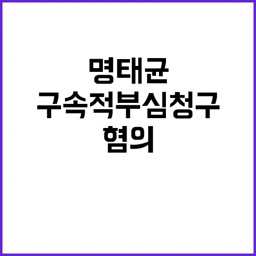 명태균 혐의 사실 …