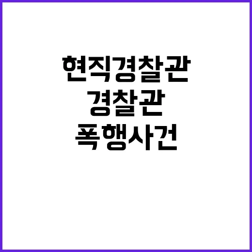 폭행 사건 현직 경…