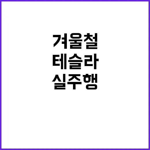 테슬라 겨울철 실주행거리 120㎞ 하락 경고!