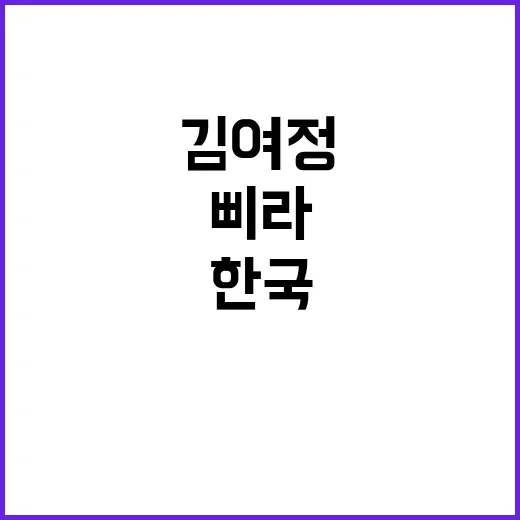 삐라와 한국 김여정…