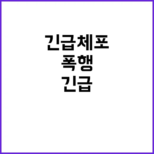 의사 연인 폭행 사…