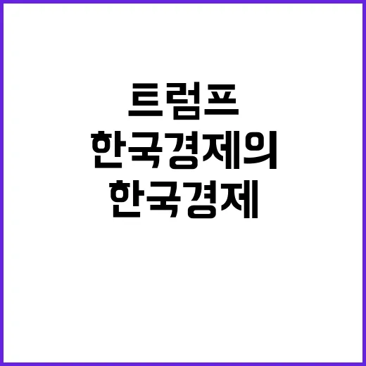 트럼프 관세 한국 …