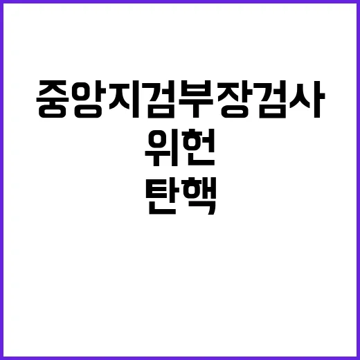 성명 발표 위헌 탄…