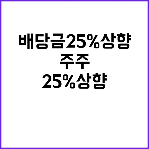 주당 배당금 25%…