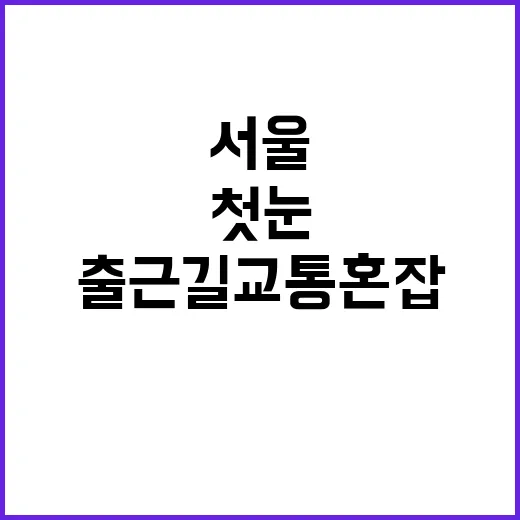 첫 눈 서울 출근길…