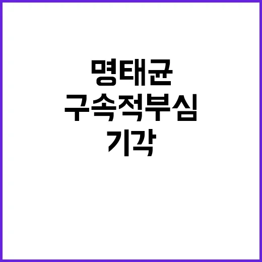 명태균 구속적부심 …