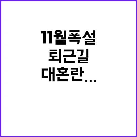 11월 폭설 대혼란…