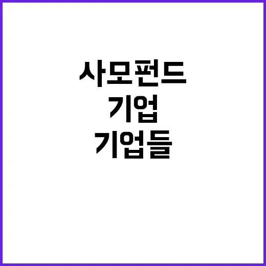 사모펀드 기업들 M…