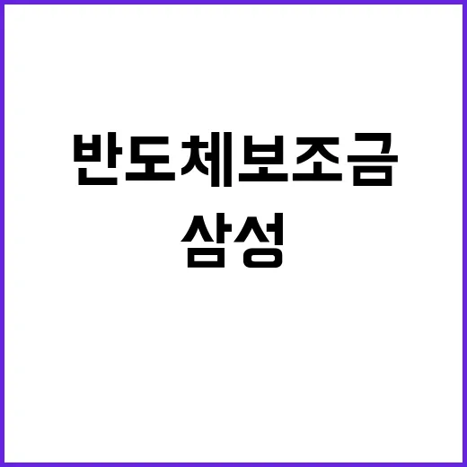 반도체 보조금 삼성…