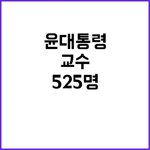 교수 525명 윤 …