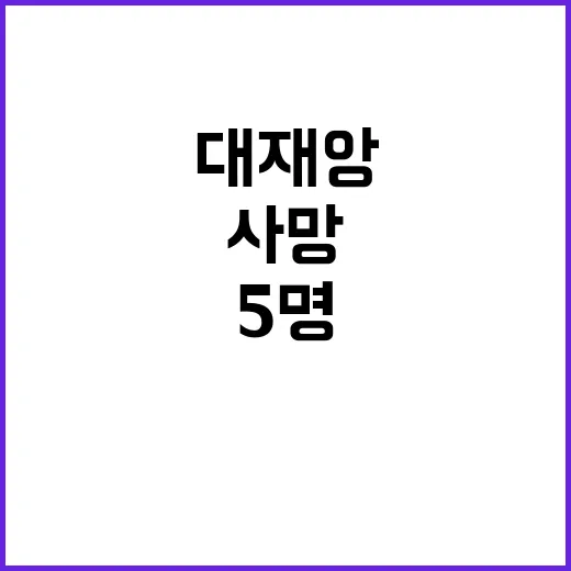 무거운 눈 최소 5…