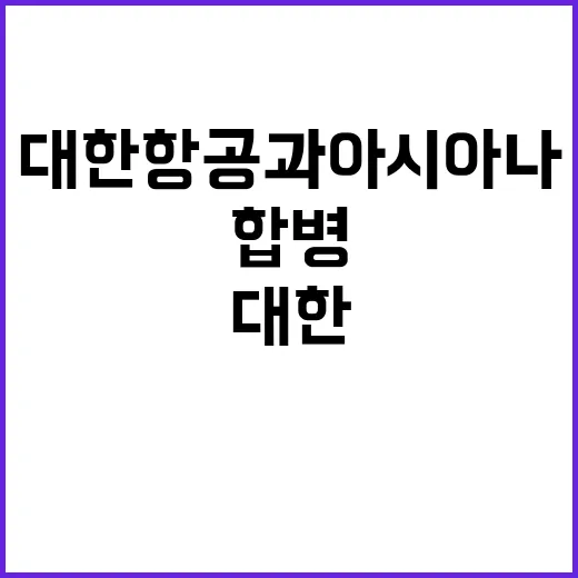 합병 대한항공과 아시아나의 새로운 미래가 다가온다!