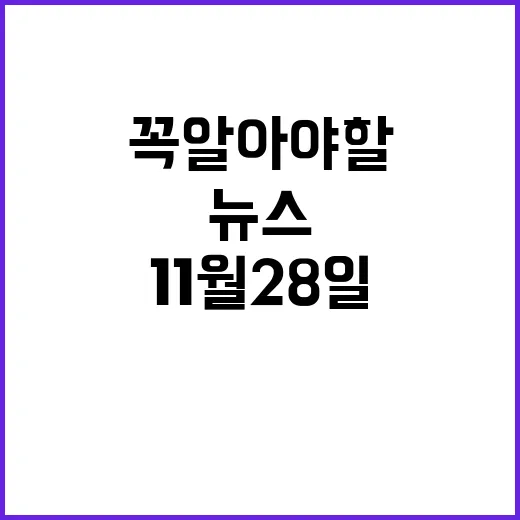 11월 28일 뉴스…