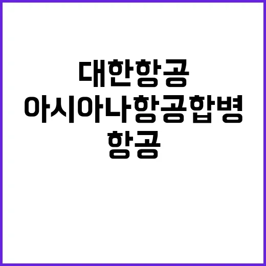 대한항공아시아나항공…