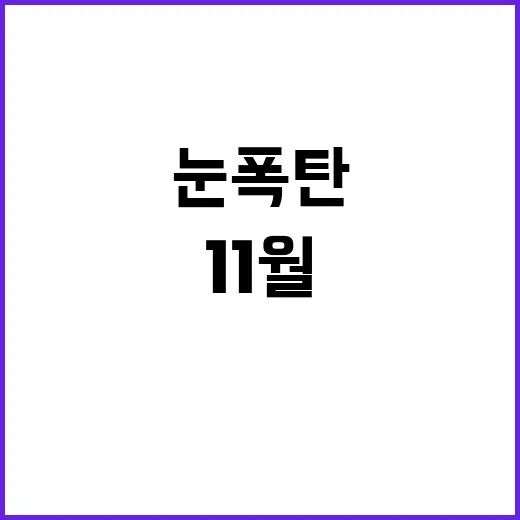 눈폭탄 11월에 이…