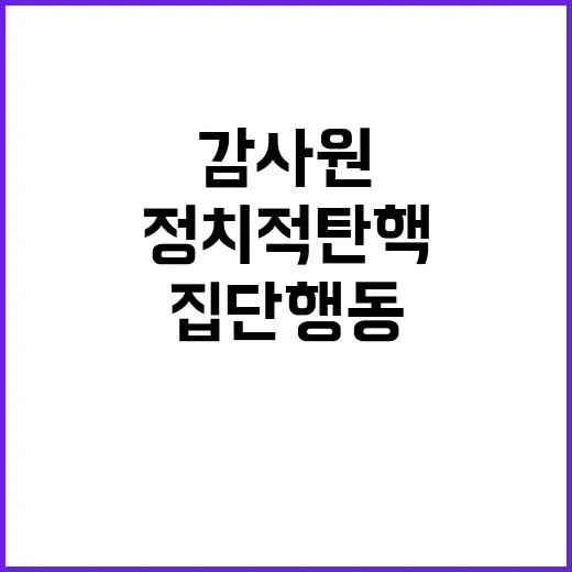 정치적 탄핵 감사원…