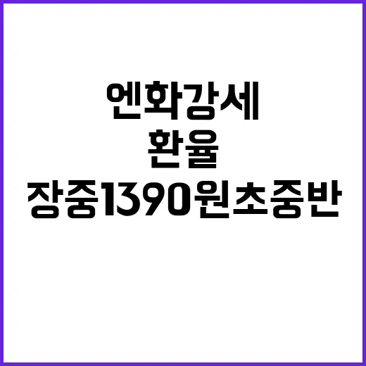 엔화 강세의 비밀……