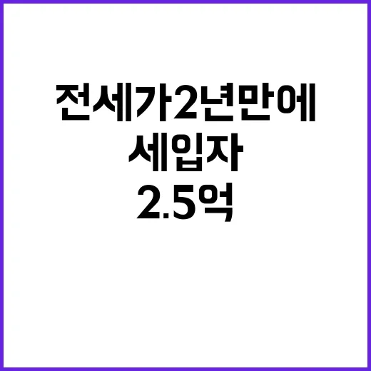 전세가 2년 만에 폭락…세입자 2.5억 눈물!