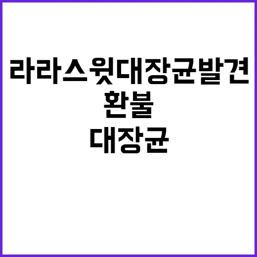 라라스윗 대장균 발…