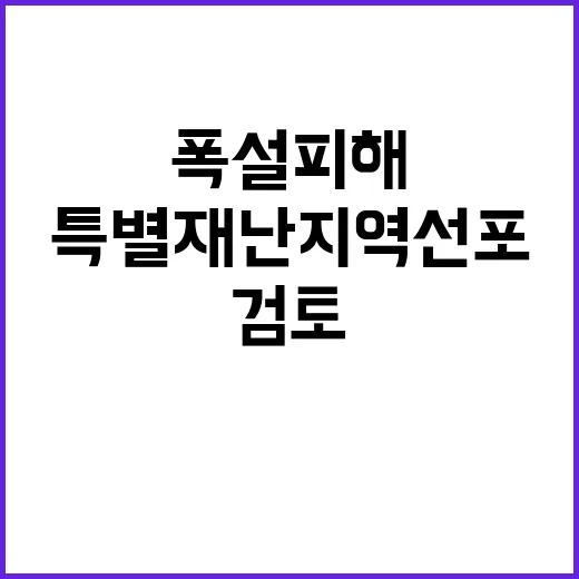 폭설 피해 특별재난…