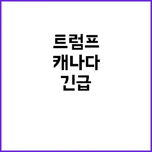 “선전포고” 캐나다…