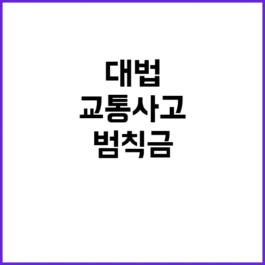 교통사고 범칙금 대…