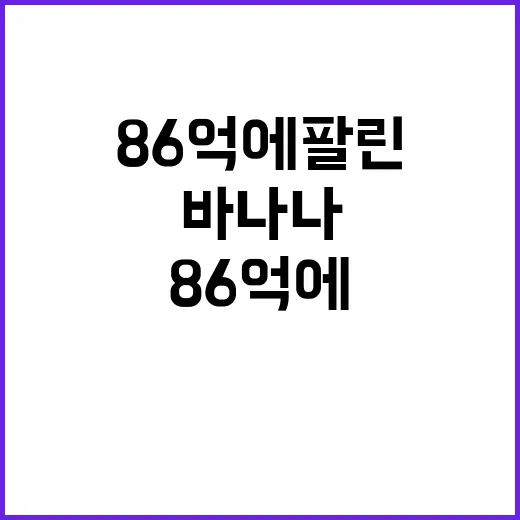 바나나 86억에 팔…