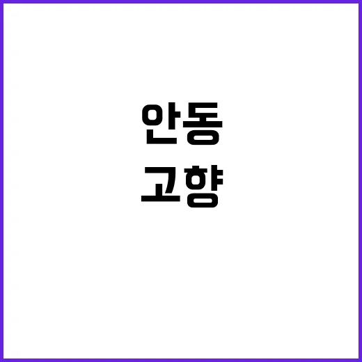 고향 안동 이 모습…