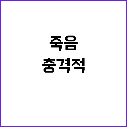 아빠 아들 죽음과 …