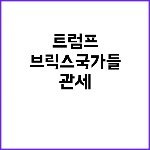 트럼프 브릭스 국가…